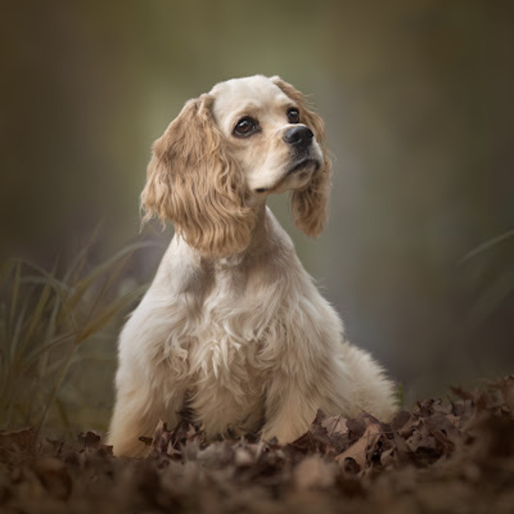 Meet your Posher, Alisha